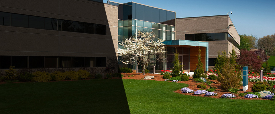 Litchfield Landscapers